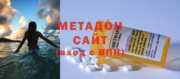 индика Алзамай