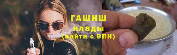 индика Алзамай
