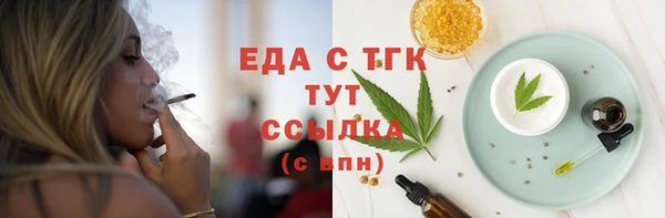индика Алзамай