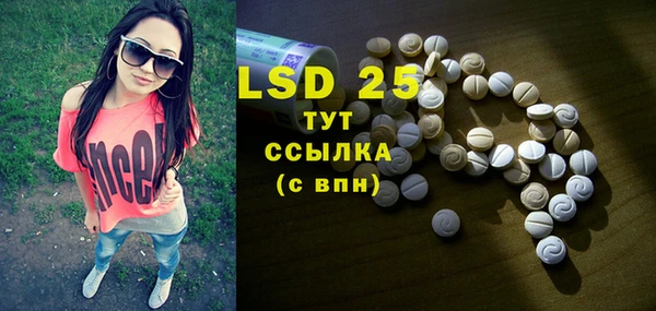 индика Алзамай