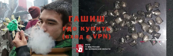 индика Алзамай