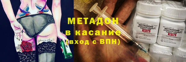индика Алзамай